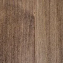 Brown Maple Shadow