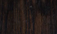 Red Oak Ebony