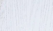 Red Oak White Premium