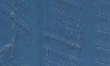 Rough Sawn Barnwood Oak Royal Blue Premium