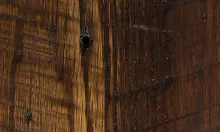 Rough Sawn Barnwood Oak R-R