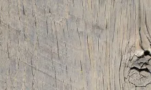 Rough Sawn Barnwood Oak Ol' Yeller