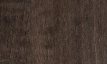 Wormy Maple Charwood