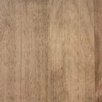 Wormy Maple Sandstone