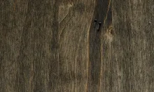 Wormy Maple Blackened Mocha